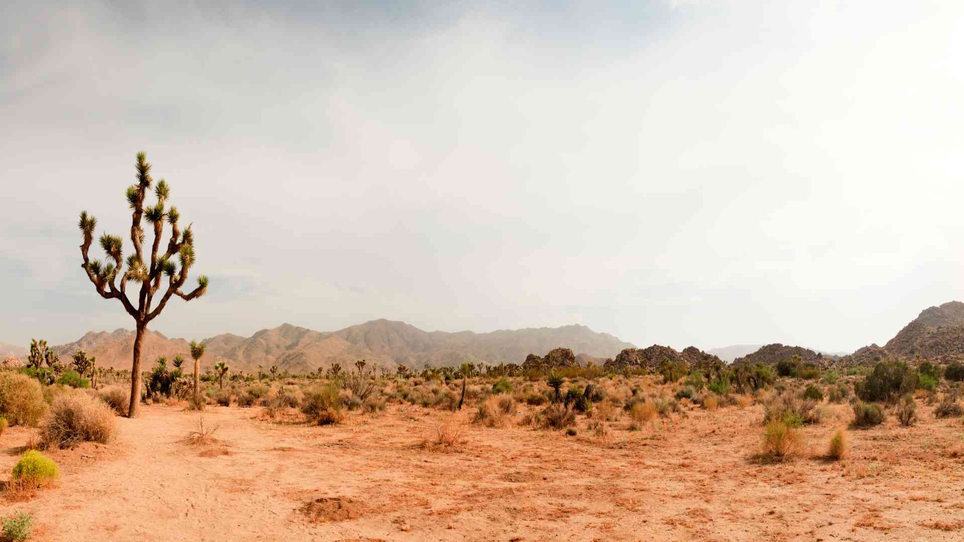 Critical Mineral Boron in the Mojave Desert