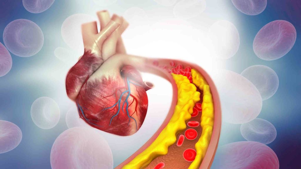 Boron and Cardiovascular disease