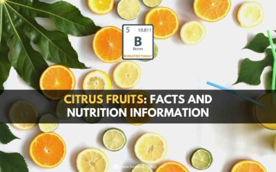Video – All About Boron And Citrus Fruits
