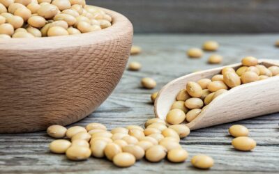 Soybeans: A Superfood Packed With Boron