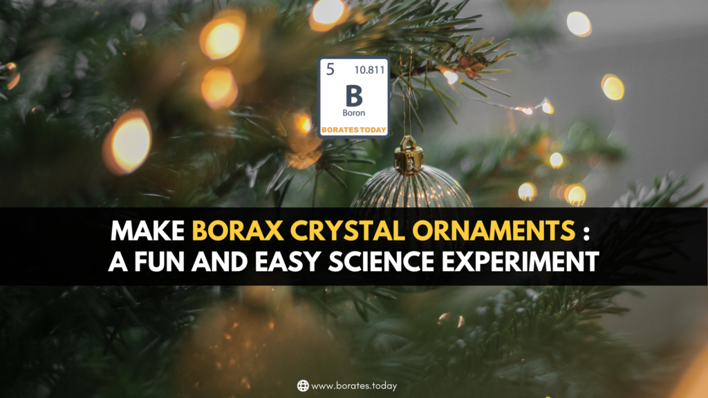 Borax crystals