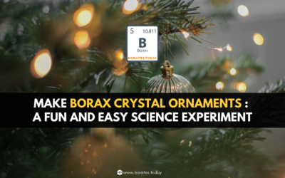 Video – How to Make Borax Crystal Ornaments?