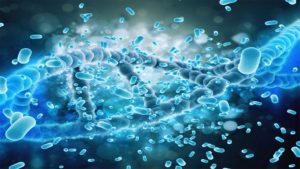 Boron Carbon and Bacteria: The Facts