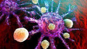 Immune System