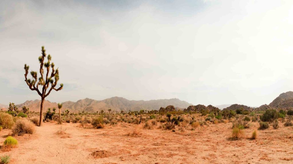 Critical Mineral Boron in the Mojave Desert