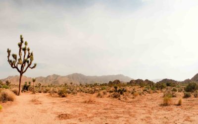 Critical Mineral Boron in the Mojave Desert