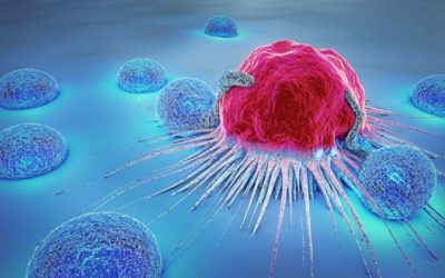 Boron Clusters: Promising Breast Cancer Treatment