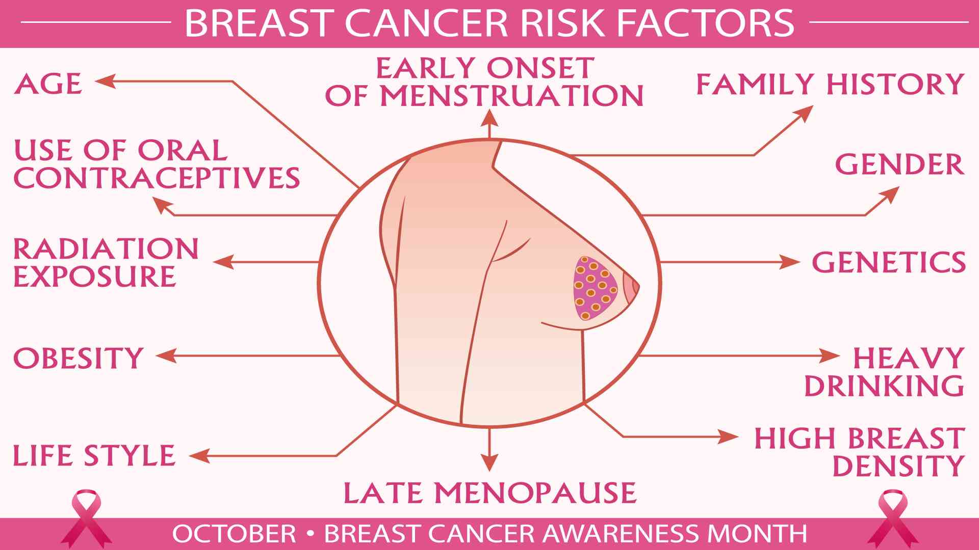 Breast cancer risk factors