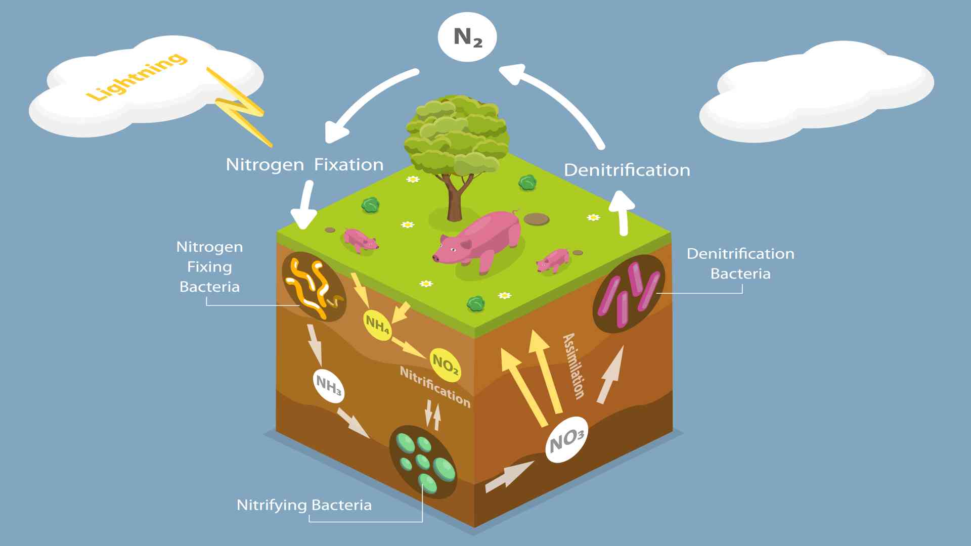 biogeochemical-cycle-of-boron-borates-today