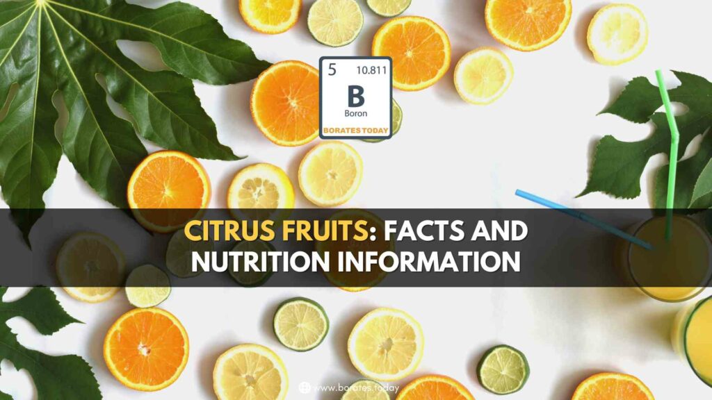 Citrus Fruits